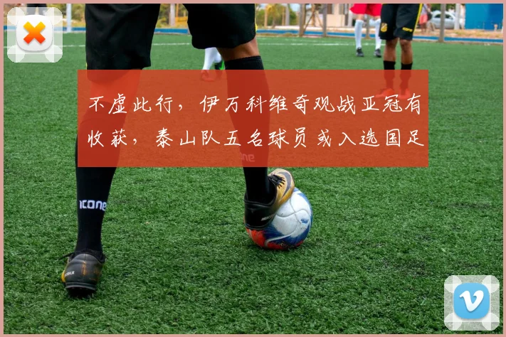 不虚此行，伊万科维奇观战亚冠有收获，泰山队五名球员或入选国足