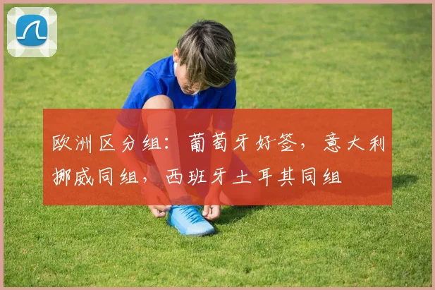 欧洲区分组：葡萄牙好签，意大利挪威同组，西班牙土耳其同组