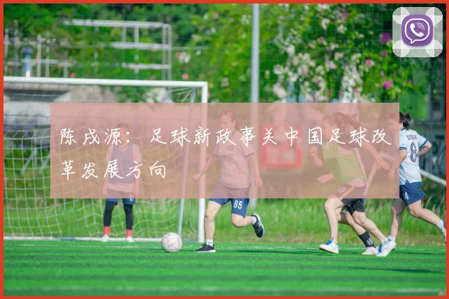 陈戌源：足球新政事关中国足球改革发展方向