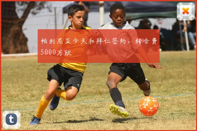 帕利尼亚今天和拜仁签约，转会费5000万欧
