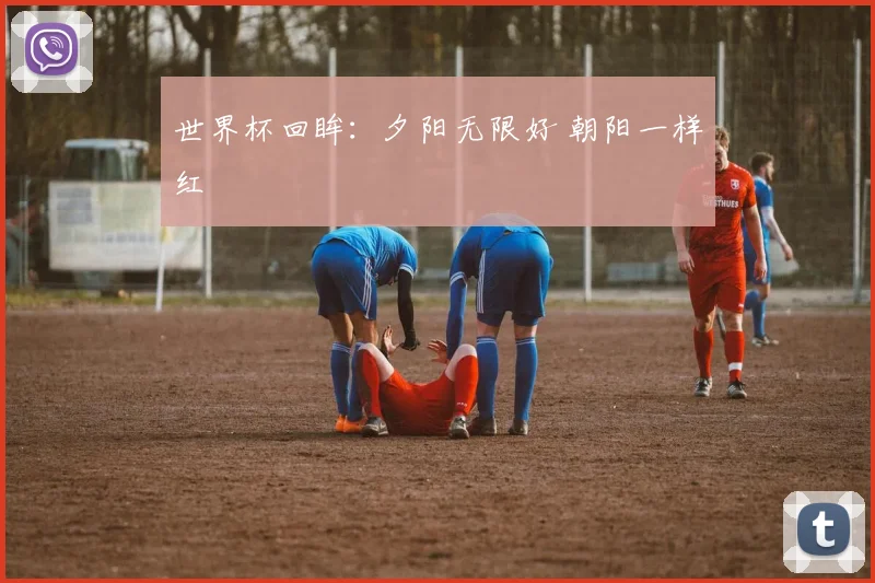 世界杯回眸：夕阳无限好 朝阳一样红