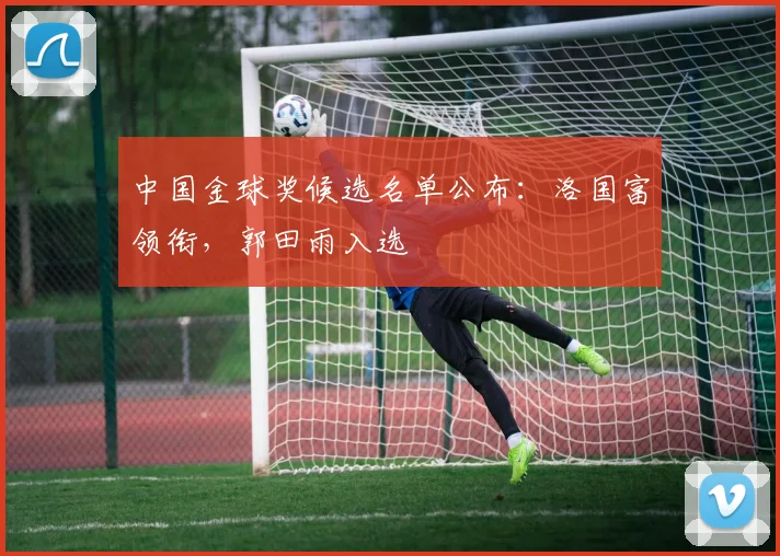 中国金球奖候选名单公布：洛国富领衔，郭田雨入选