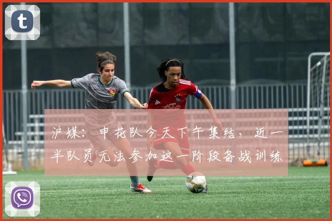 沪媒：申花队今天下午集结，近一半队员无法参加这一阶段备战训练