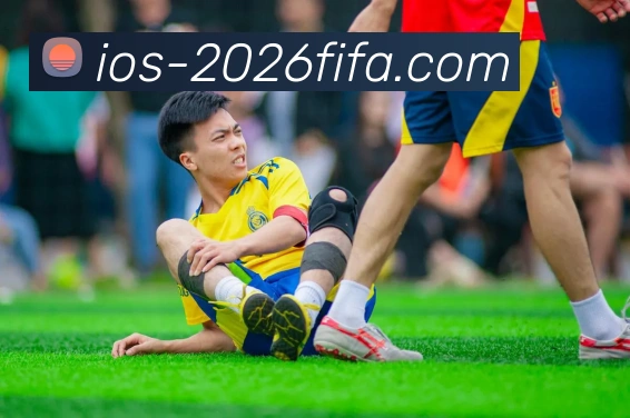 世界杯买球APP发展历程